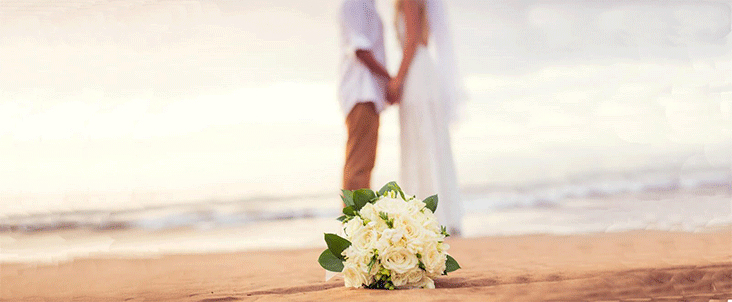 beach weddings and events